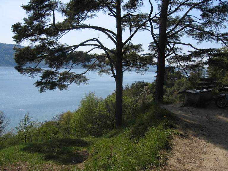 foto22