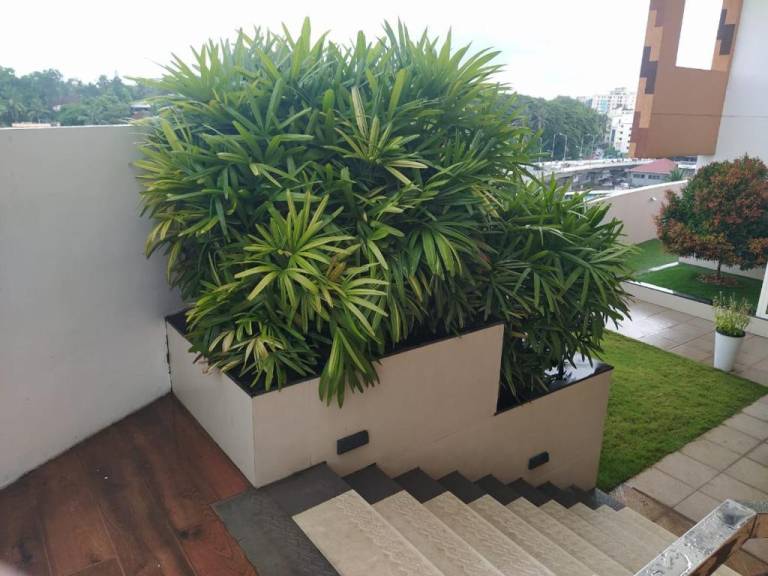 foto44
