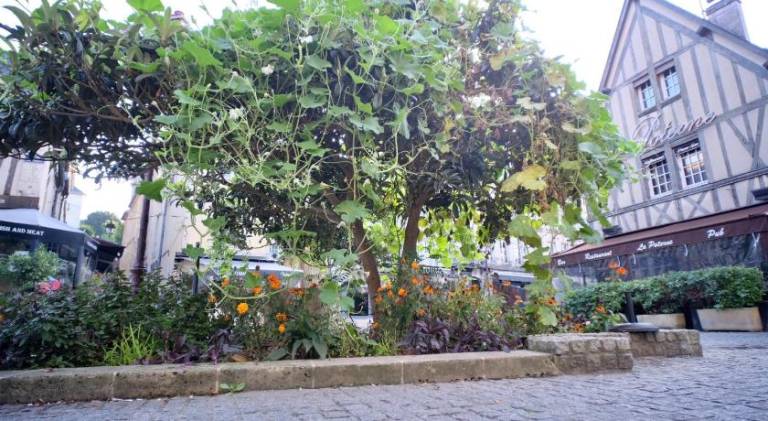 Rental apartment | Pets allowed — photo 5