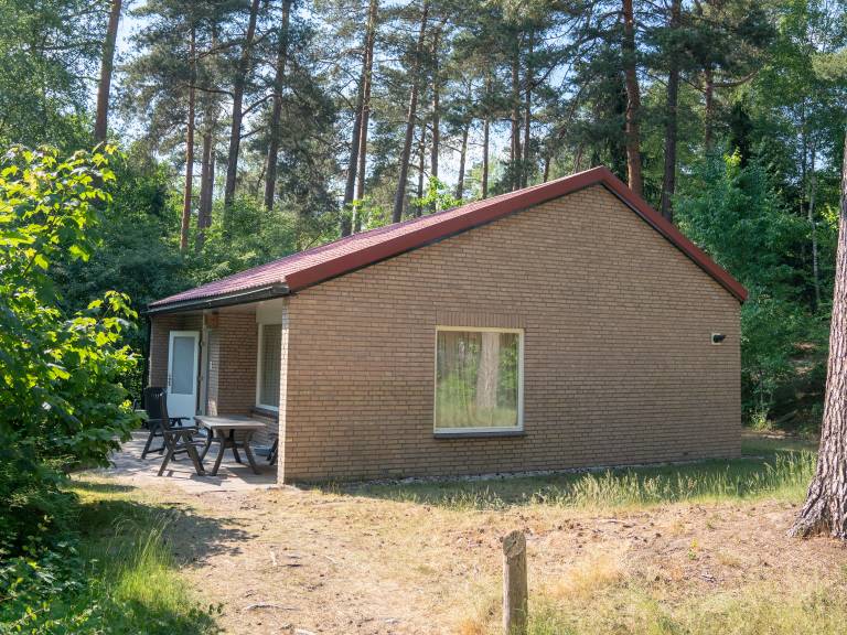 foto1