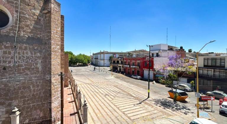 Gardenia Roof Hostel in Aguascalientes