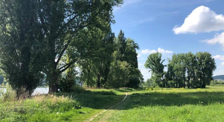 foto21