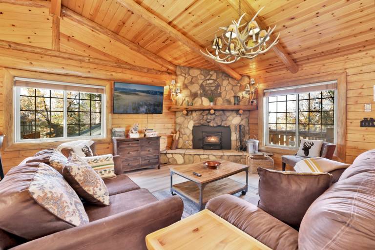 Cabin with patio, barbecue & hot tub | Lake view — photo 4
