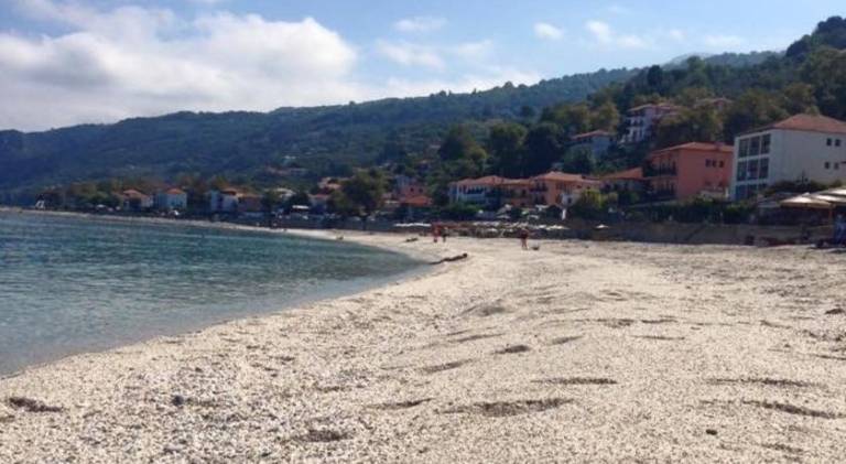 IVAS Pelion — photo 4