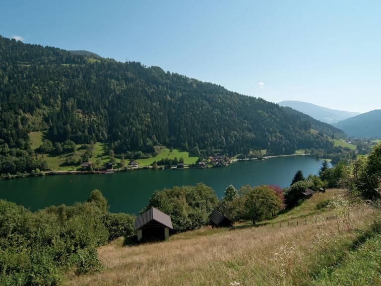 foto42