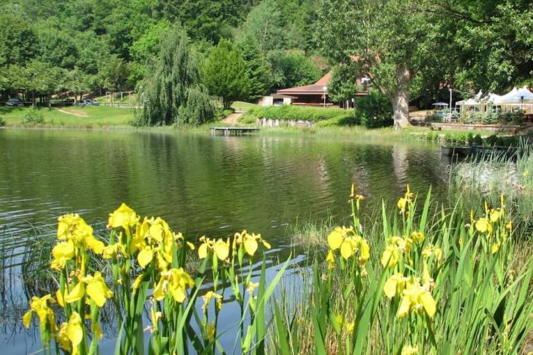 foto16