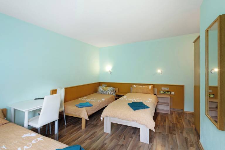 Ferienwohnung Altschauerberg