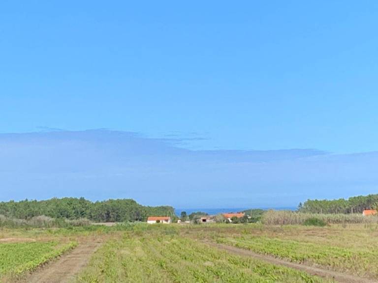 foto17
