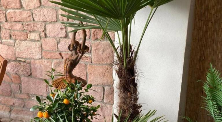 53 m&sup2; Ferienwohnung