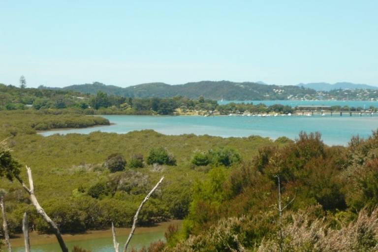 House Paihia