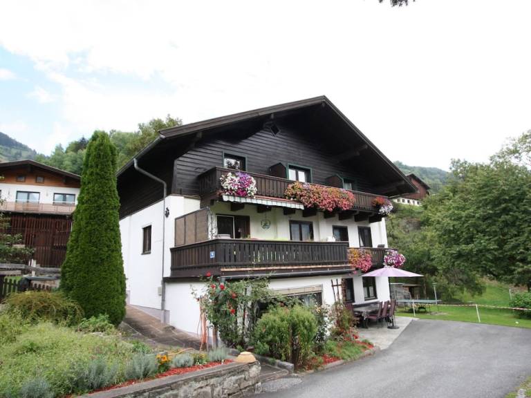 Apartment  Niedernsill
