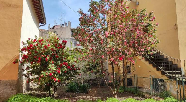 Apartment | Pets allowed in Viterbo