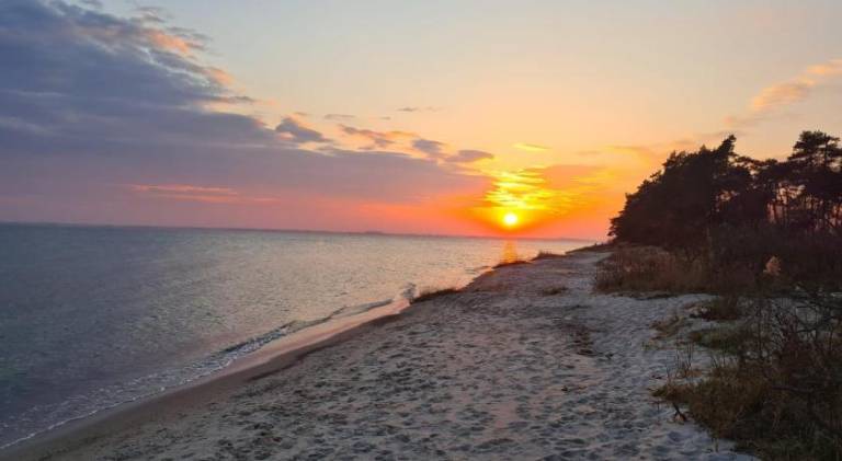 Vacation home | Pets are welcome — photo 4