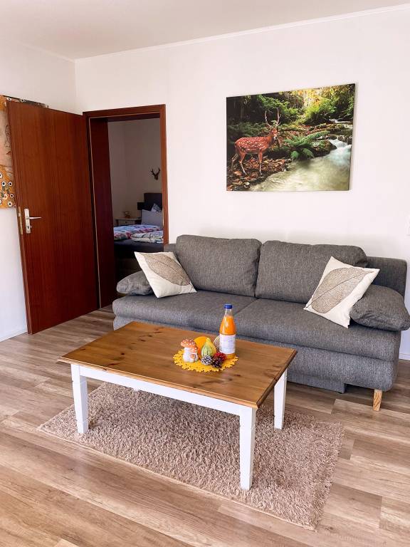 Apartment with terrace — photo 2