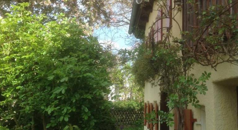 foto22