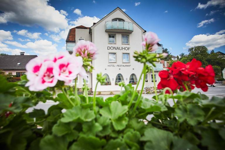 Hotel Donauhof in Emmersdorf an der Donau