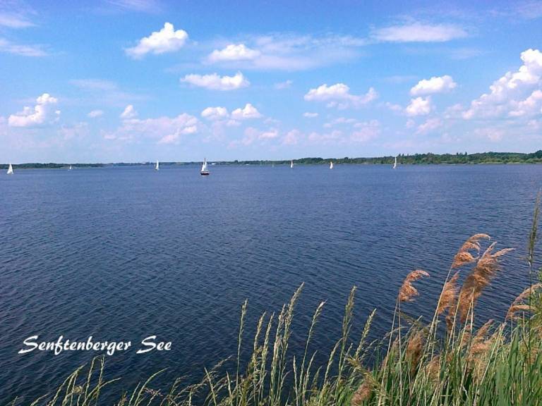 Ferienwohnung Senftenberg