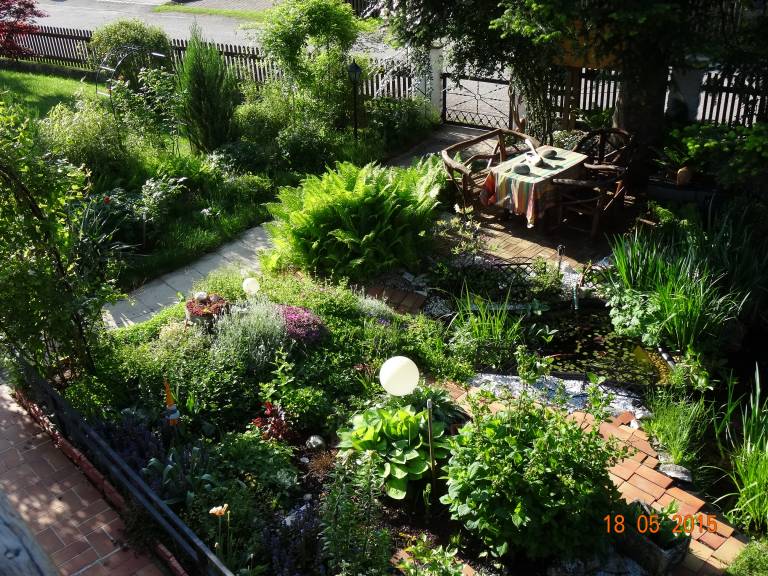 foto14