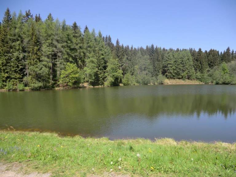 foto33
