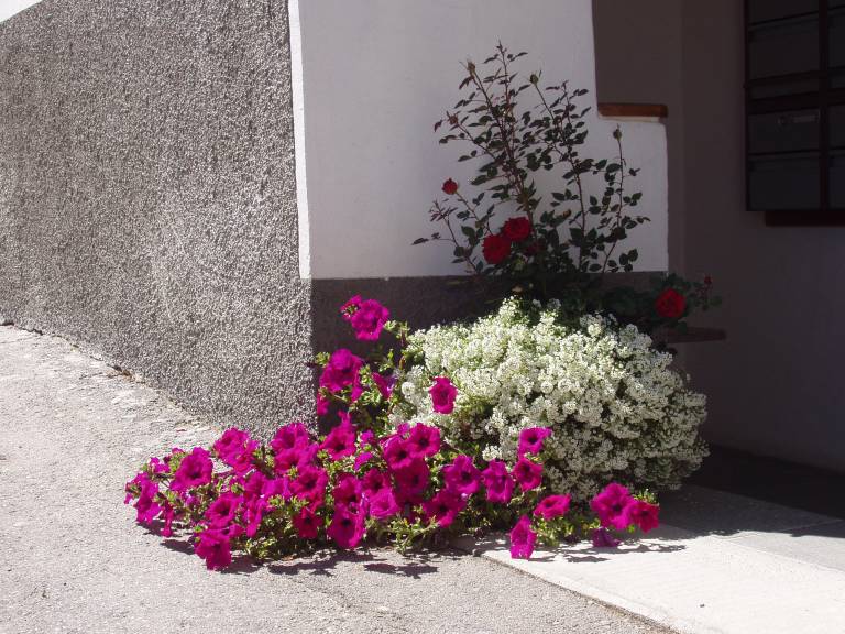 foto6