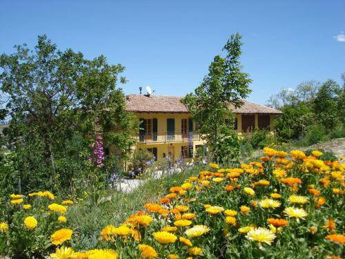 Ferienhaus  Cassinasco