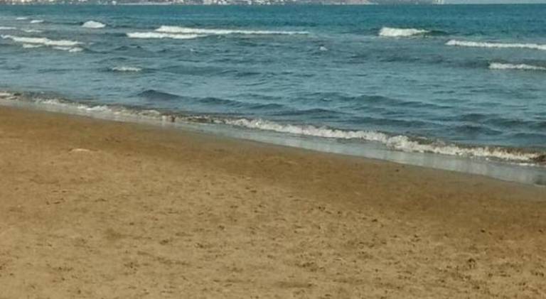 Nice holiday apartment with barbeque & terrace | Close to the beach | Perfect for remote work | Pets allowed — photo 2