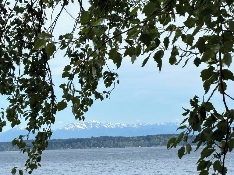 Cottage Alki