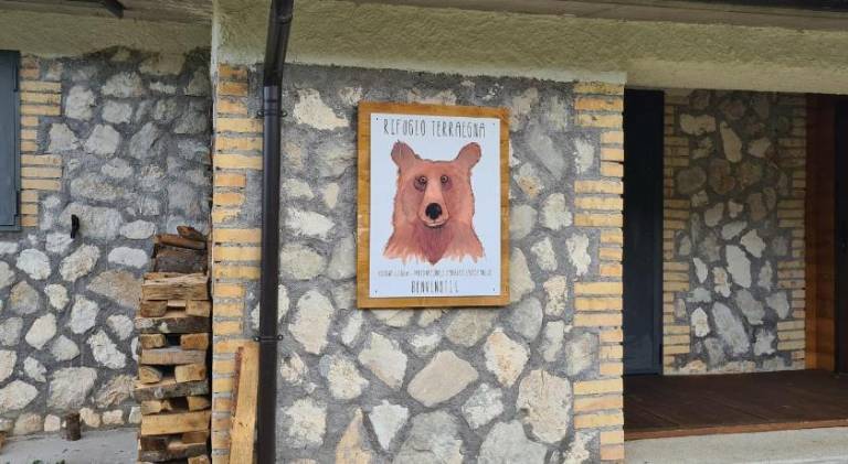 Holiday apartment with 1 room for 4 persons — photo 4