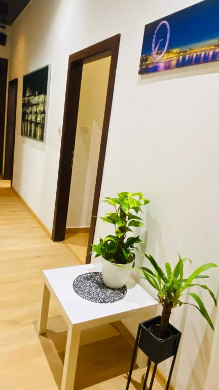 Child-friendly apartment | Pets allowed — photo 5