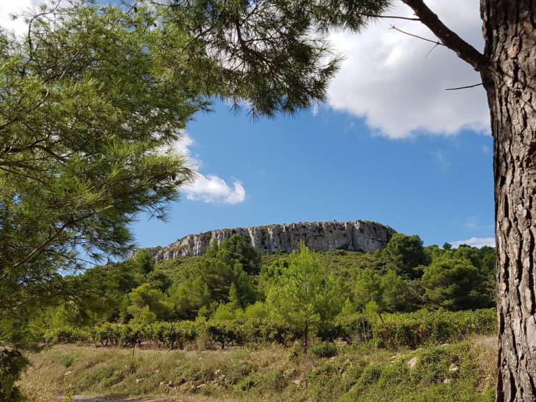 foto16