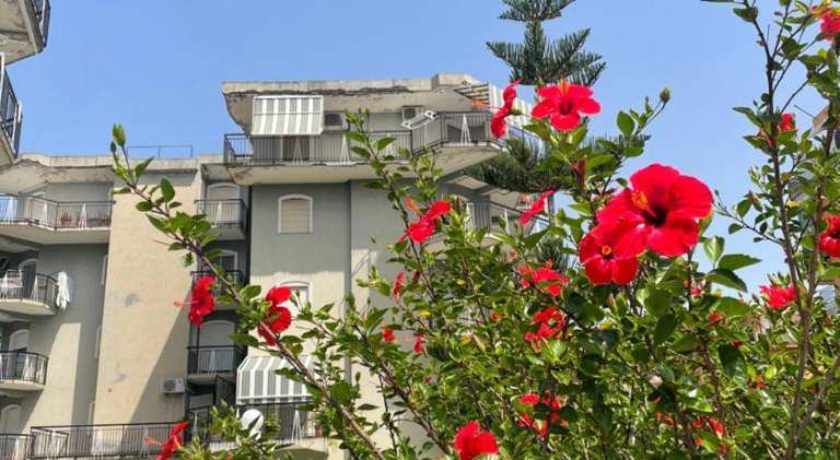 Savastano's Home in Scalea
