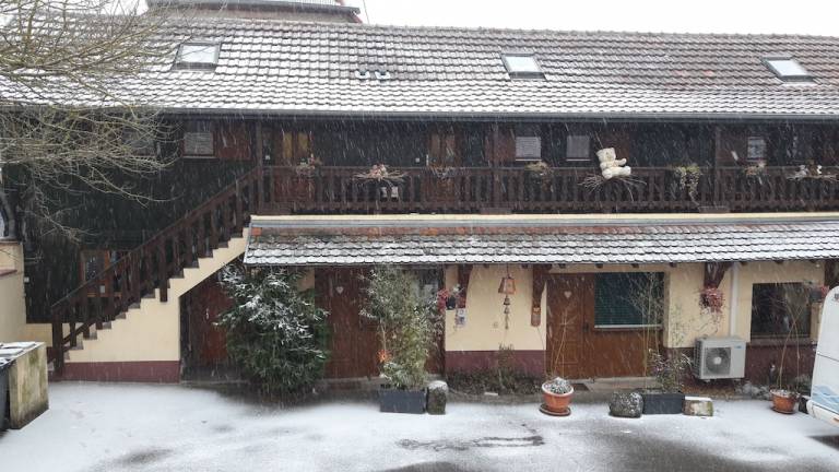 Appartement  Mittelwihr