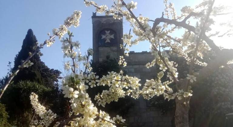 Vacation home with 3 rooms for 5 persons in Alberobello