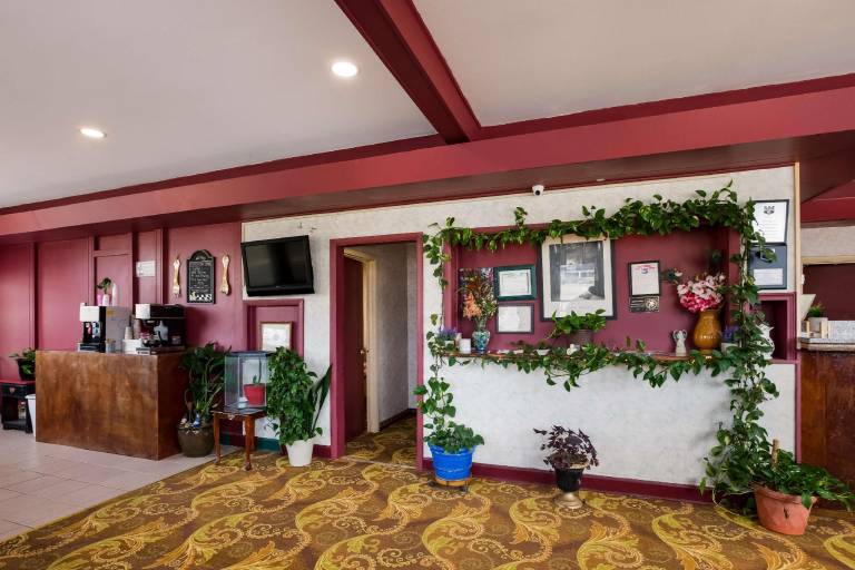 Knights Inn - Fayetteville NC — photo 5
