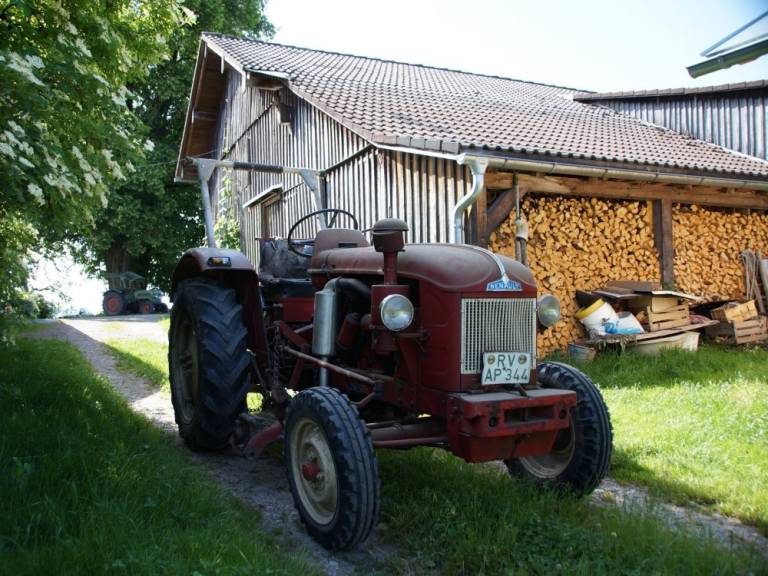 foto17