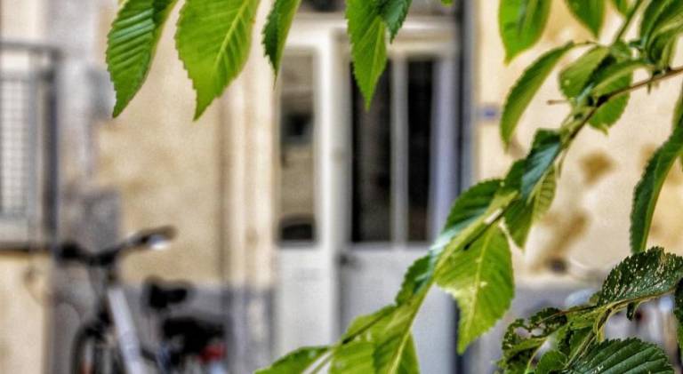 Charming apartment | Pets are welcome in Montpellier
