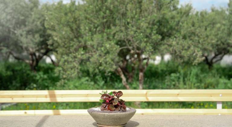 Vacation home with BBQ, garden & hot tub in Sitia