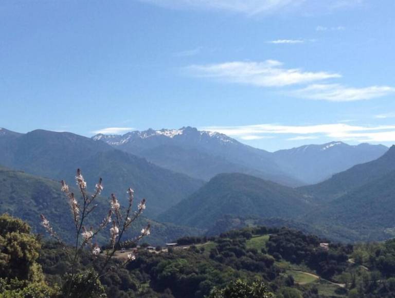 Appartement Vico