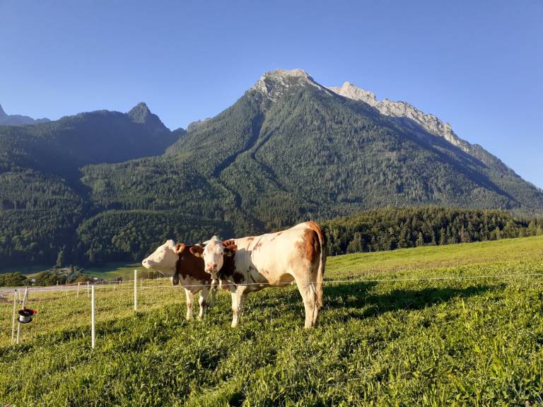 foto4