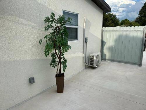foto9