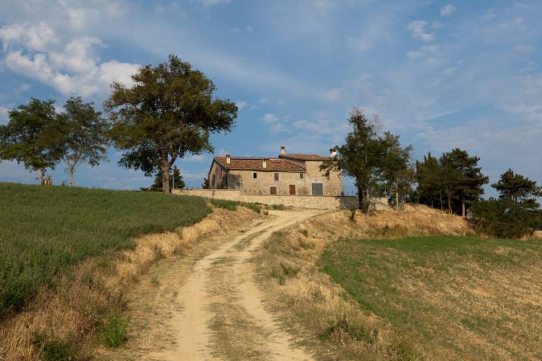 Cà Gianna e Borgorosso: Borgorosso Mini — photo 2