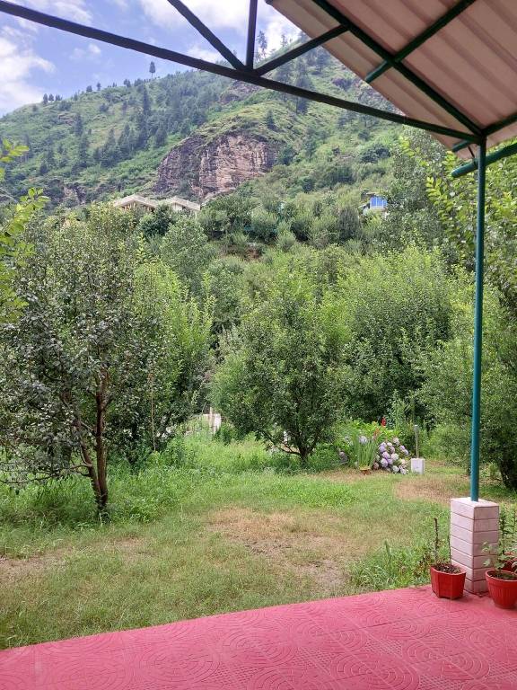 foto5