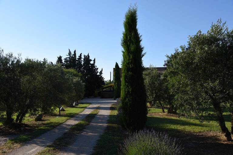 foto13