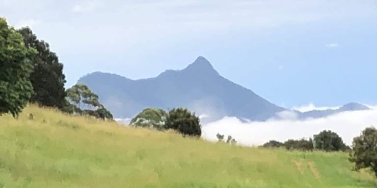 House Nimbin