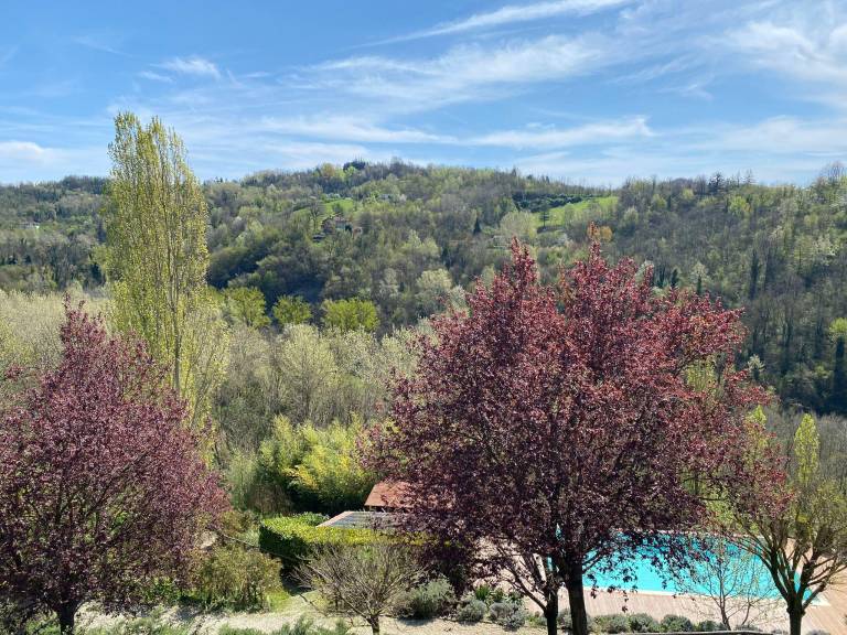 foto49