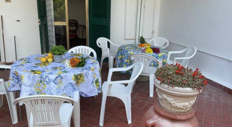 Nice rental apartment | Pets are welcome — photo 4