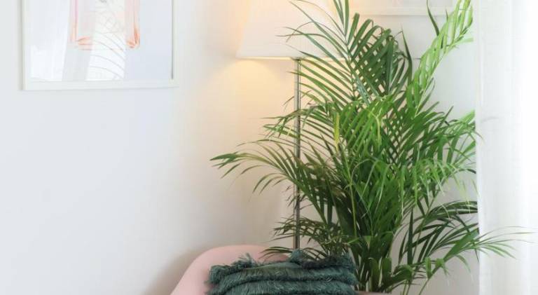 Lovely rental apartment | Dogs allowed — photo 4