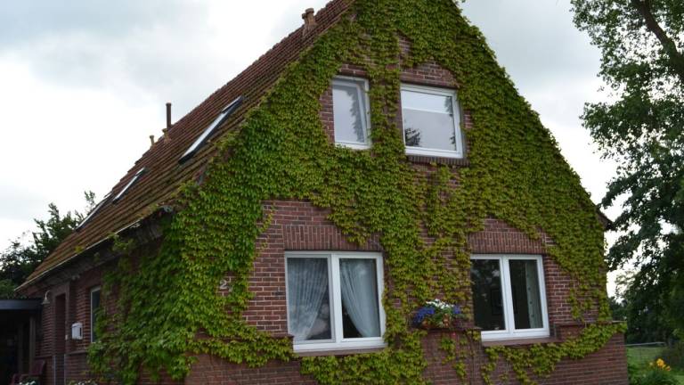 Ferienwohnung Schwanewede