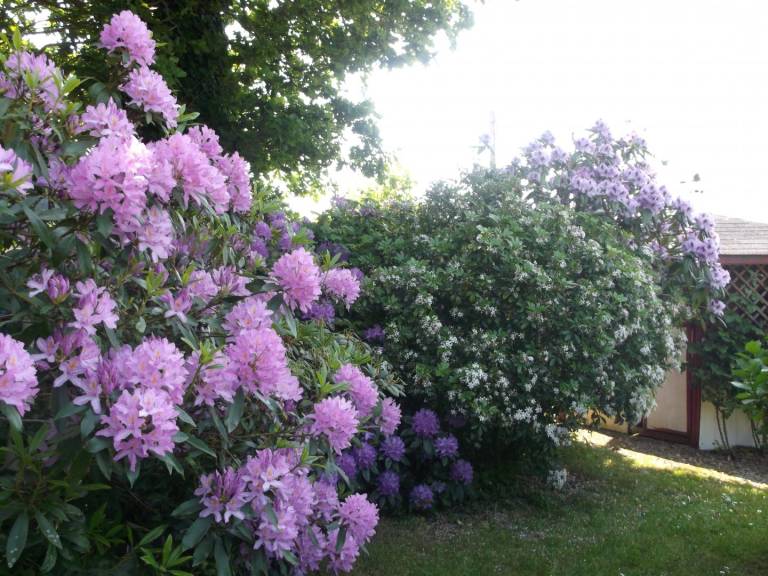 foto19