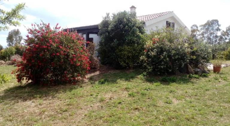 Wonderful house | Pets are welcome in Teo